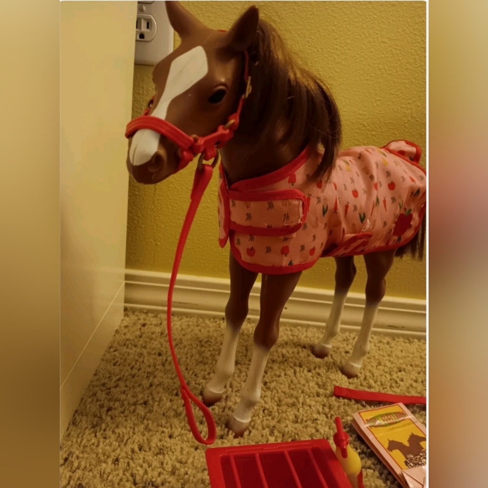 Our Generation Pony